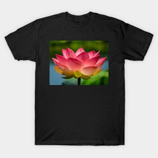 Pink Lotus Flower T-Shirt